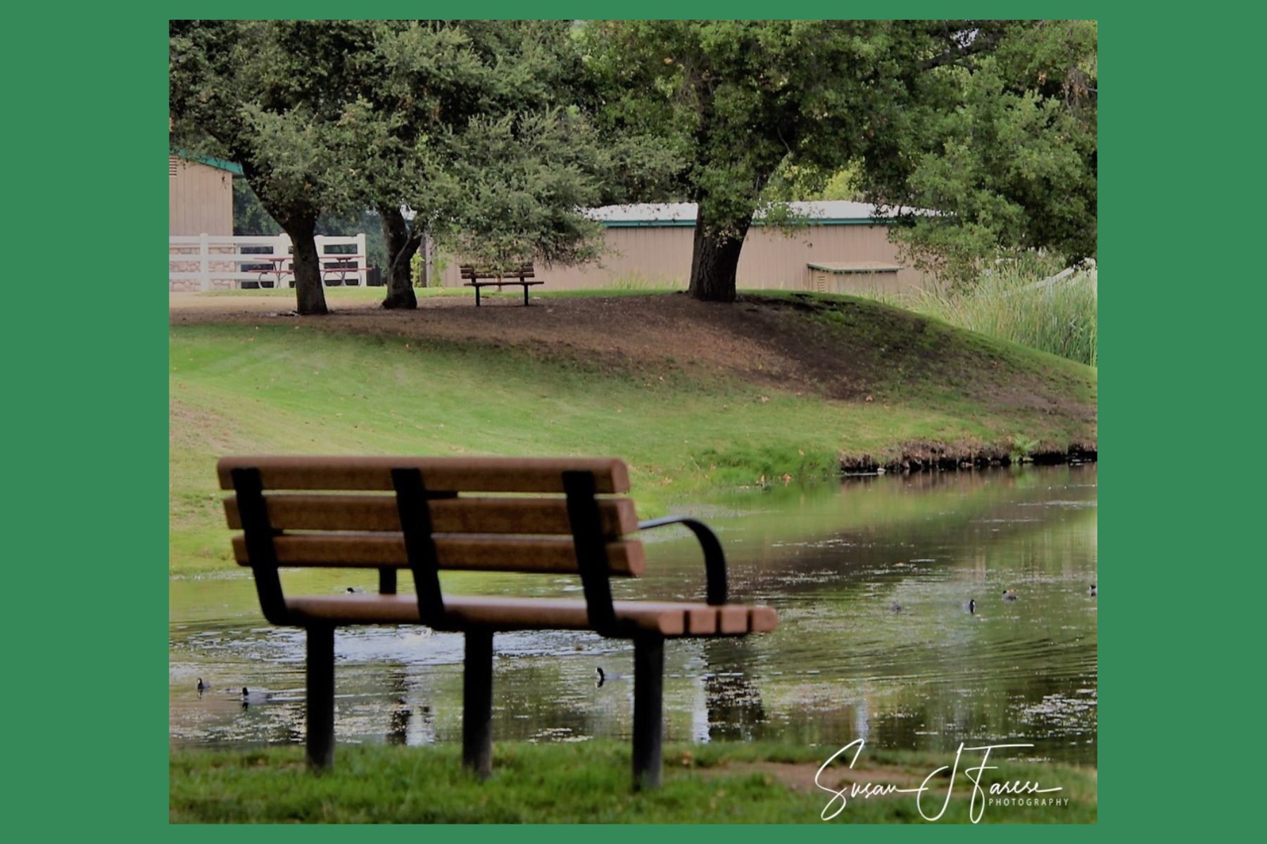 Bench at Santee Lakes